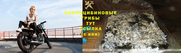 прущая мука Ельня