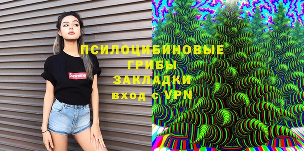 прущая мука Ельня