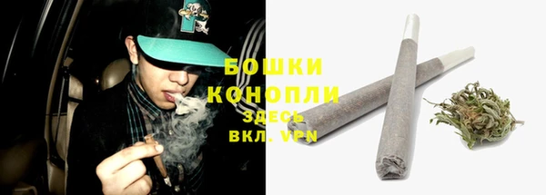 прущая мука Ельня