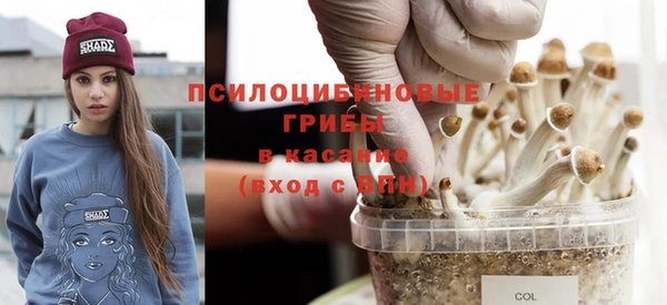 прущая мука Ельня