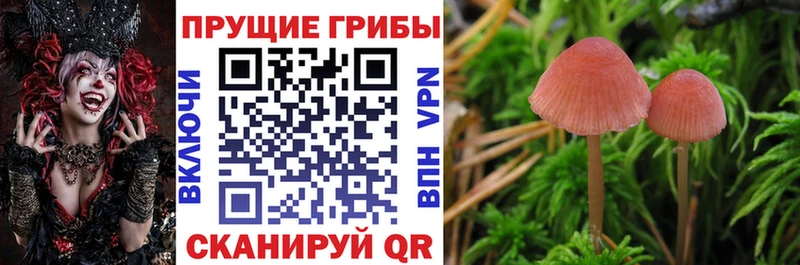 Галлюциногенные грибы прущие грибы  Купить закладки  Разумное 